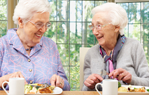 senior moments adult day center meal program, tolland ct